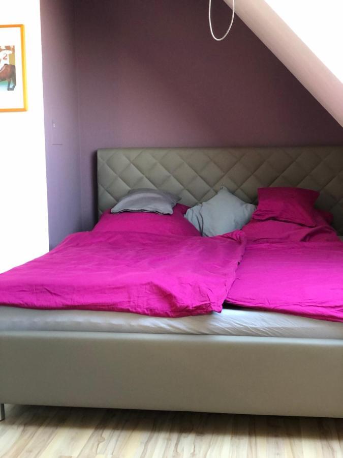 Einzel-Apartment Duesseldorf Oberkassel Ngoại thất bức ảnh